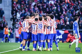 SaaS面板选择标准